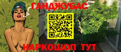 apvp Новодвинск