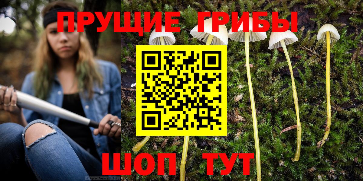 Псилоцибиновые грибы Psilocybine cubensis Соликамск